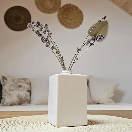 Beck - Super Сомбор